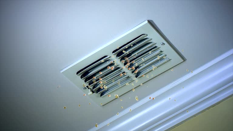 Best Air Vent Cleaning Services  in Hughson, CA